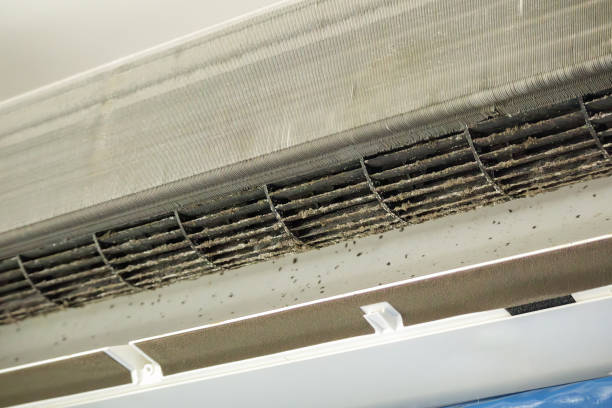 Best Professional Duct Cleaning Services  in La Crosse, KS